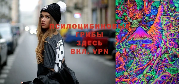 кокс Аркадак