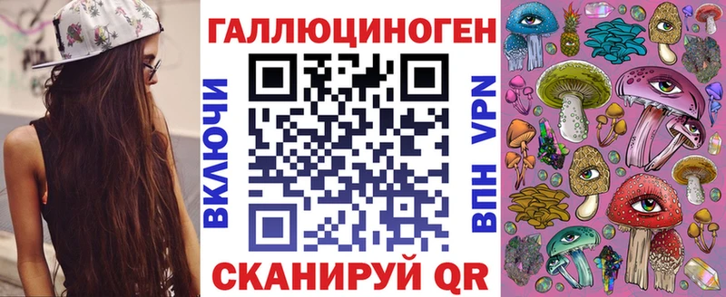 наркота  Камбарка  Псилоцибиновые грибы Psilocybine cubensis 